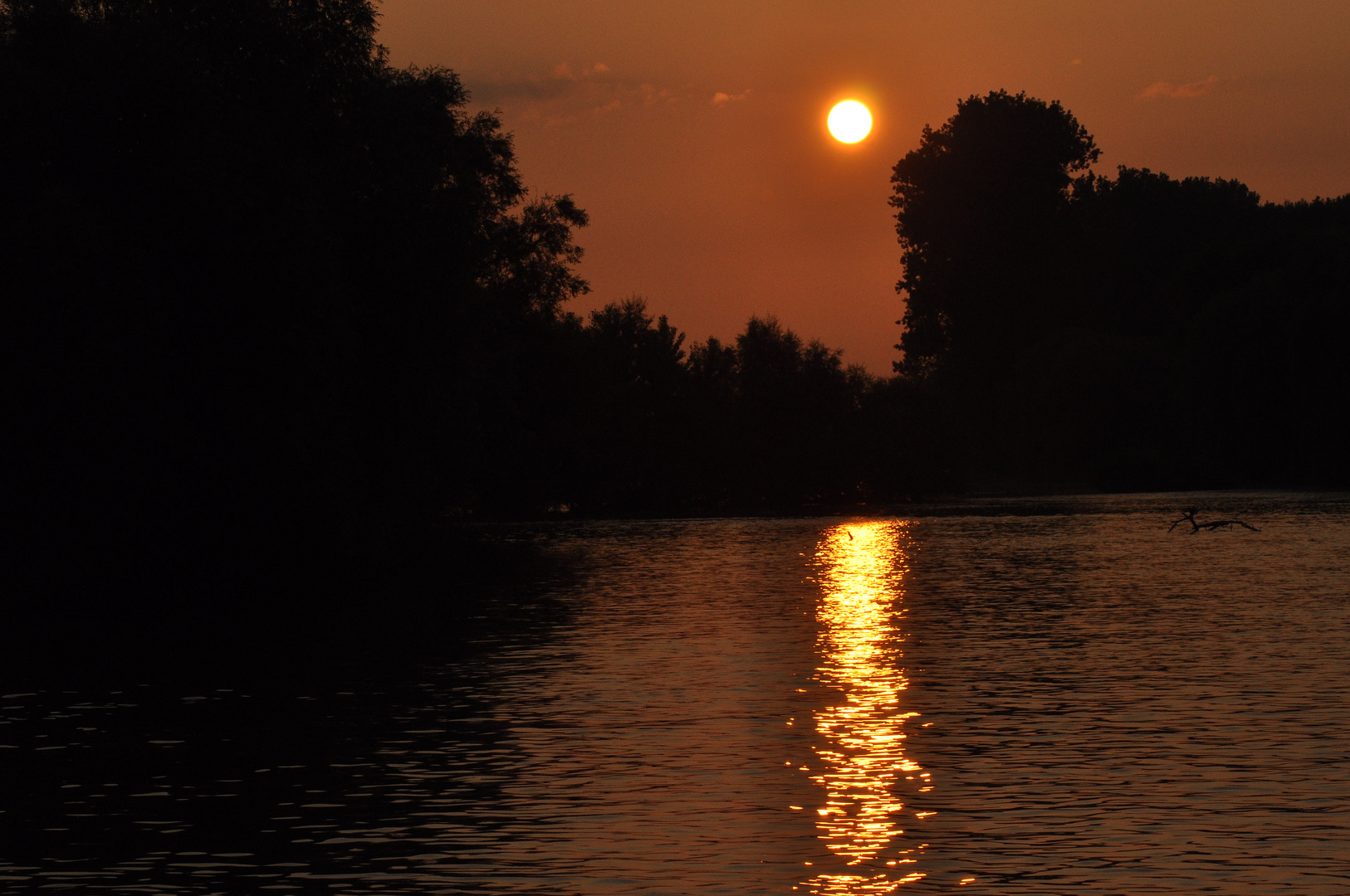 Sonnenaufgang am Rhein