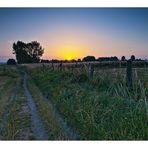 Sonnenaufgang am Rhein