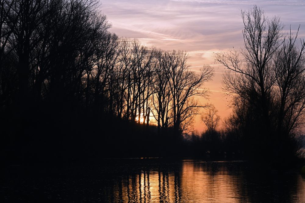 Sonnenaufgang am Rhein