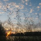 Sonnenaufgang am Rhein