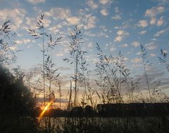 Sonnenaufgang am Rhein