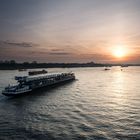 Sonnenaufgang am Rhein.