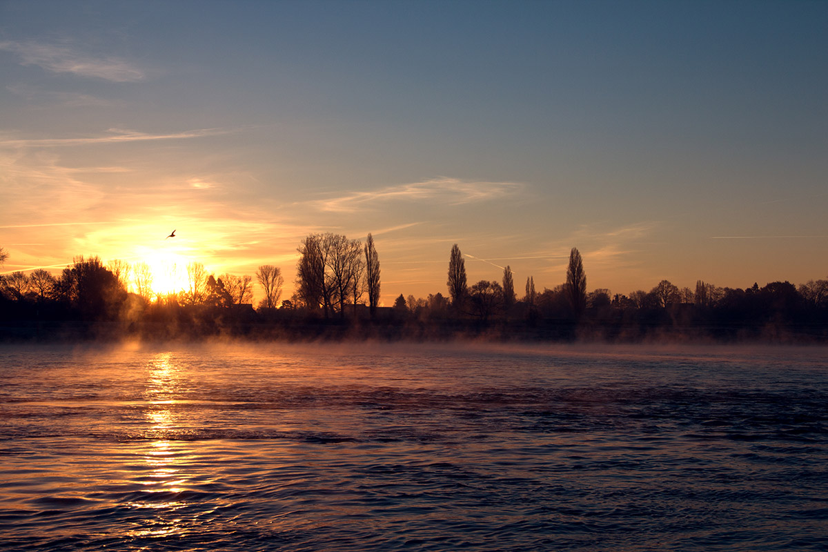 Sonnenaufgang am Rhein