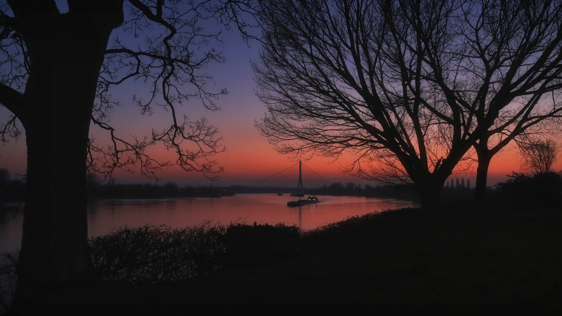 Sonnenaufgang am Rhein...............  ©