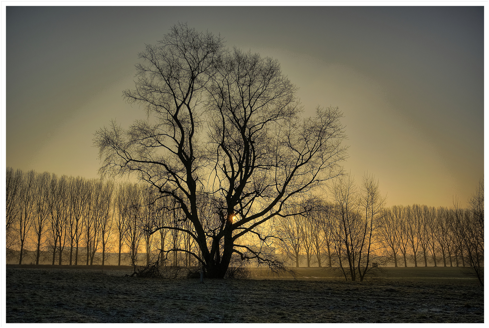 Sonnenaufgang am Rhein