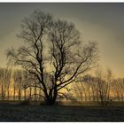 Sonnenaufgang am Rhein