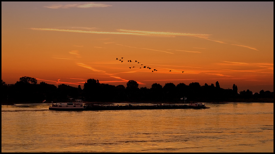 Sonnenaufgang am Rhein