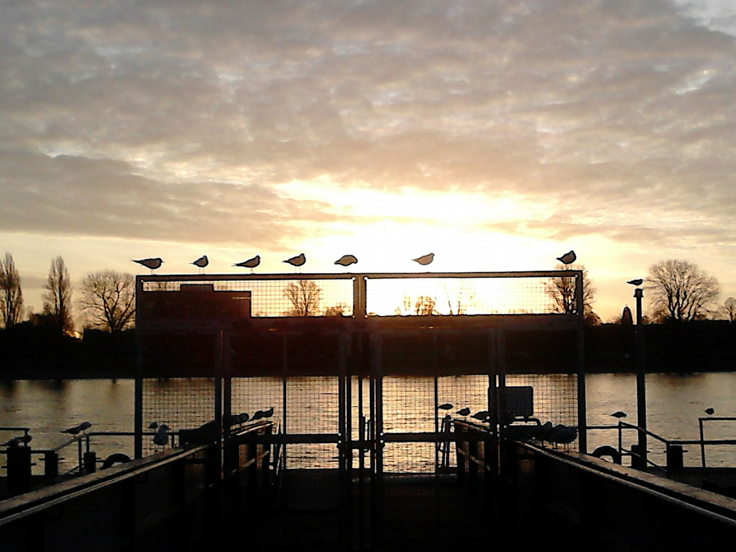 Sonnenaufgang am Rheinufer