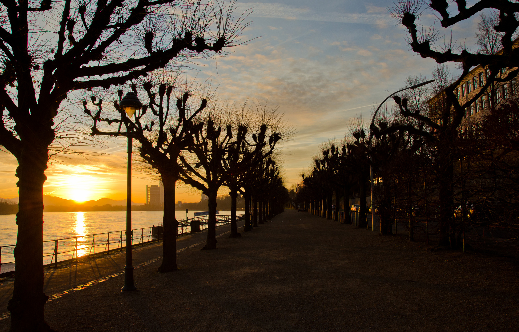 Sonnenaufgang am Rheinufer