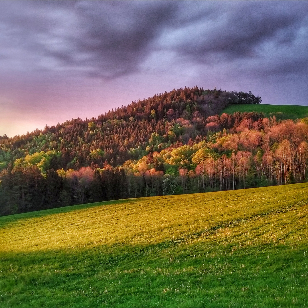 Sonnenaufgang am Riegel