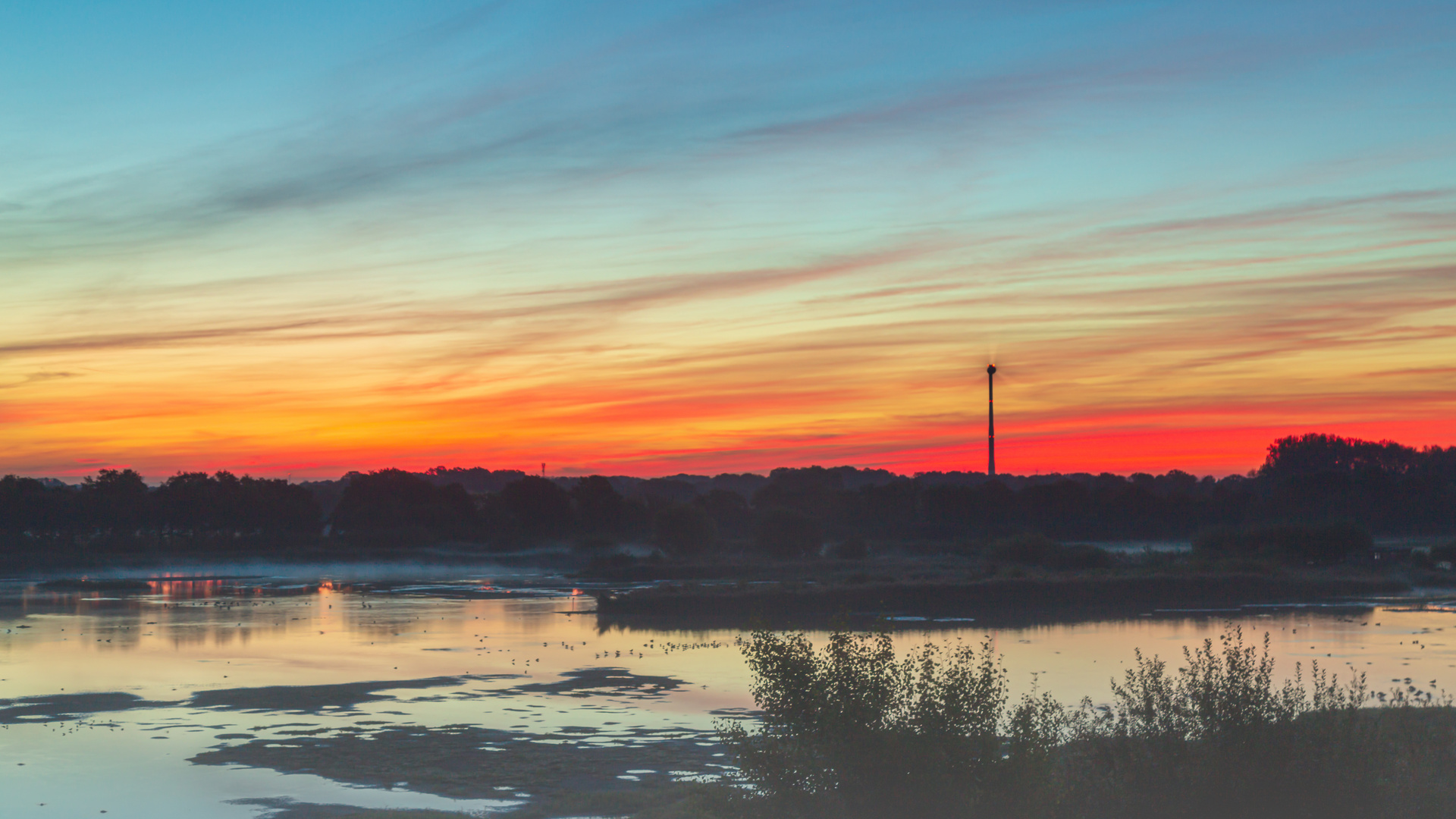 Sonnenaufgang am Rieselfelder