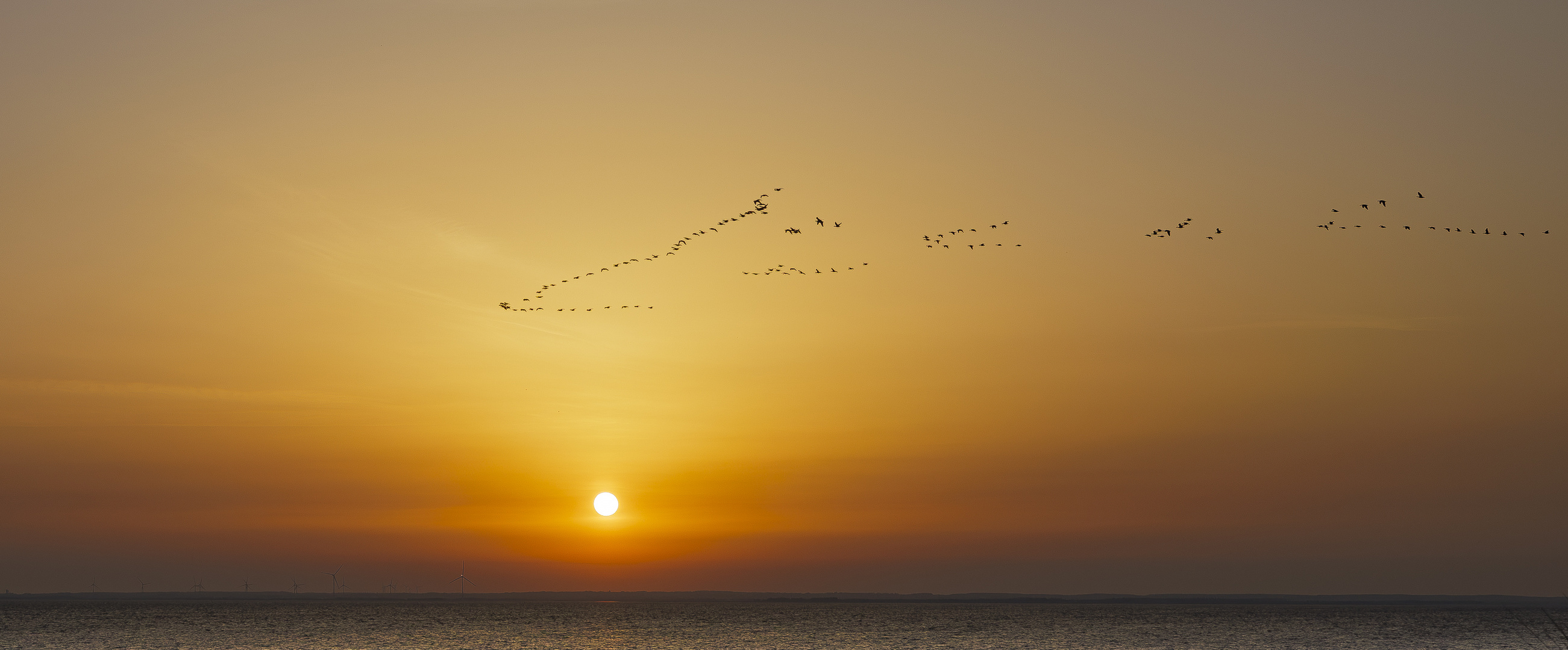 Sonnenaufgang am Ringkøbing-Fjord