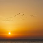 Sonnenaufgang am Ringkøbing-Fjord