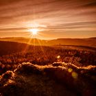 Sonnenaufgang am Rothaarsteig