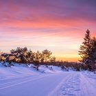 Sonnenaufgang am Ruhestein