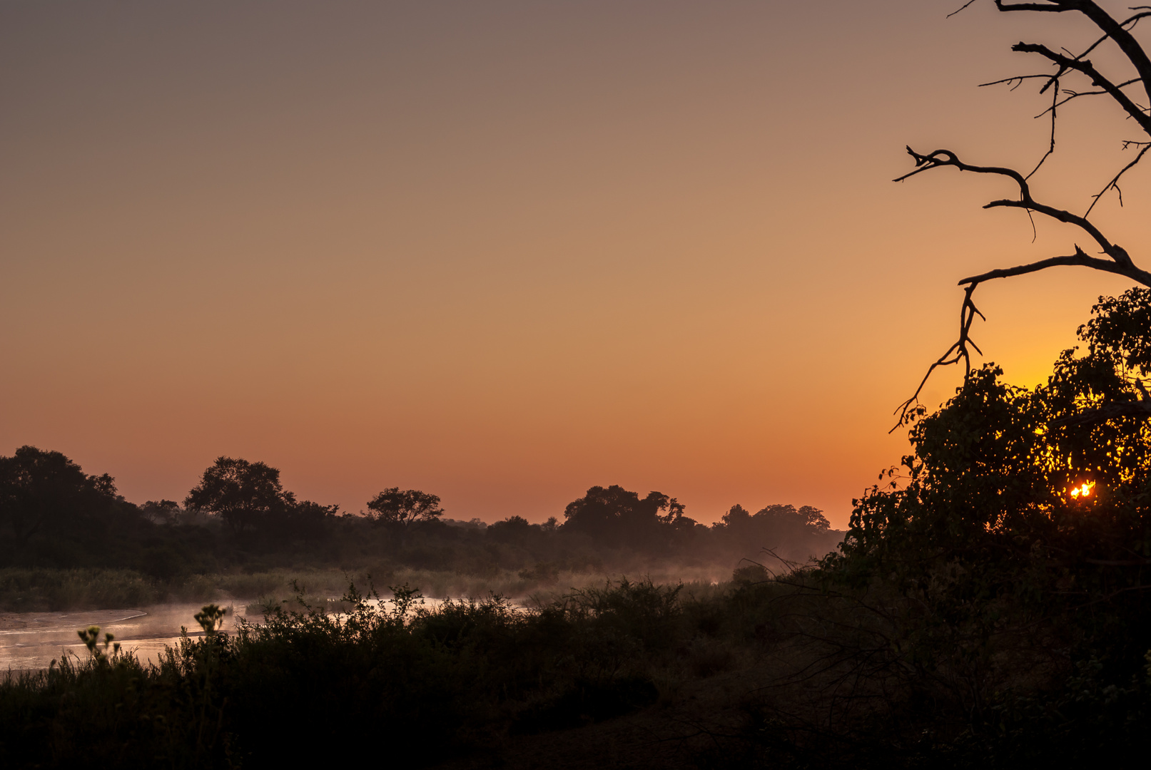 Sonnenaufgang am Sabie River
