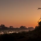 Sonnenaufgang am Sabie River