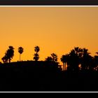 Sonnenaufgang am Santa Monica Beach