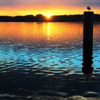 Sonnenaufgang am Scharmützelsee