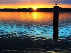 Sonnenaufgang am Scharmützelsee