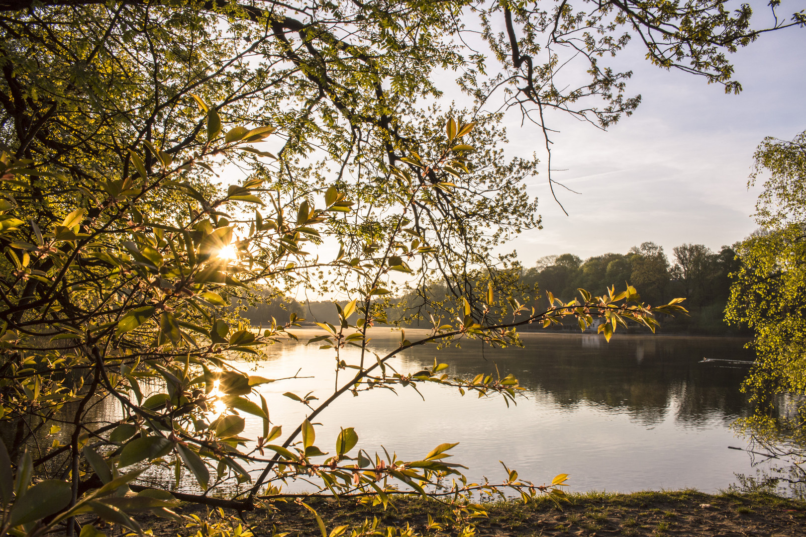 Sonnenaufgang am Schlachtensee