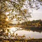 Sonnenaufgang am Schlachtensee