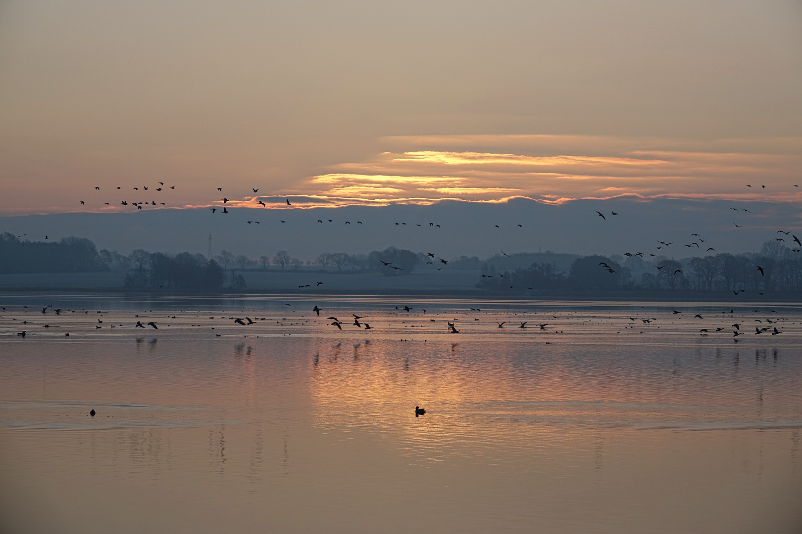 Sonnenaufgang am Schleiufer