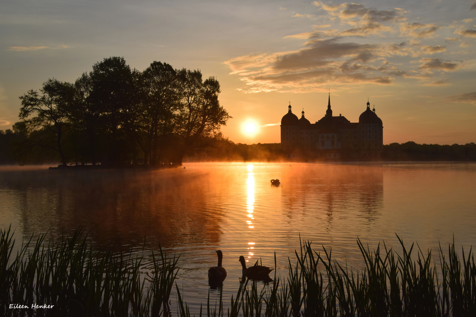 Sonnenaufgang am Schloß Moritzburg