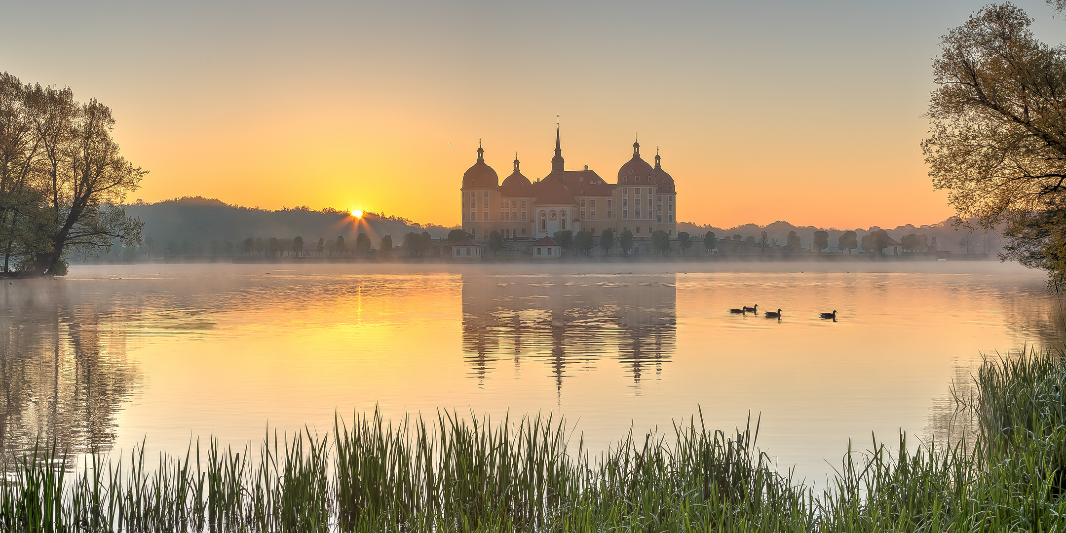 Sonnenaufgang am Schloss Moritzburg