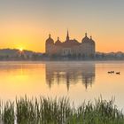 Sonnenaufgang am Schloss Moritzburg