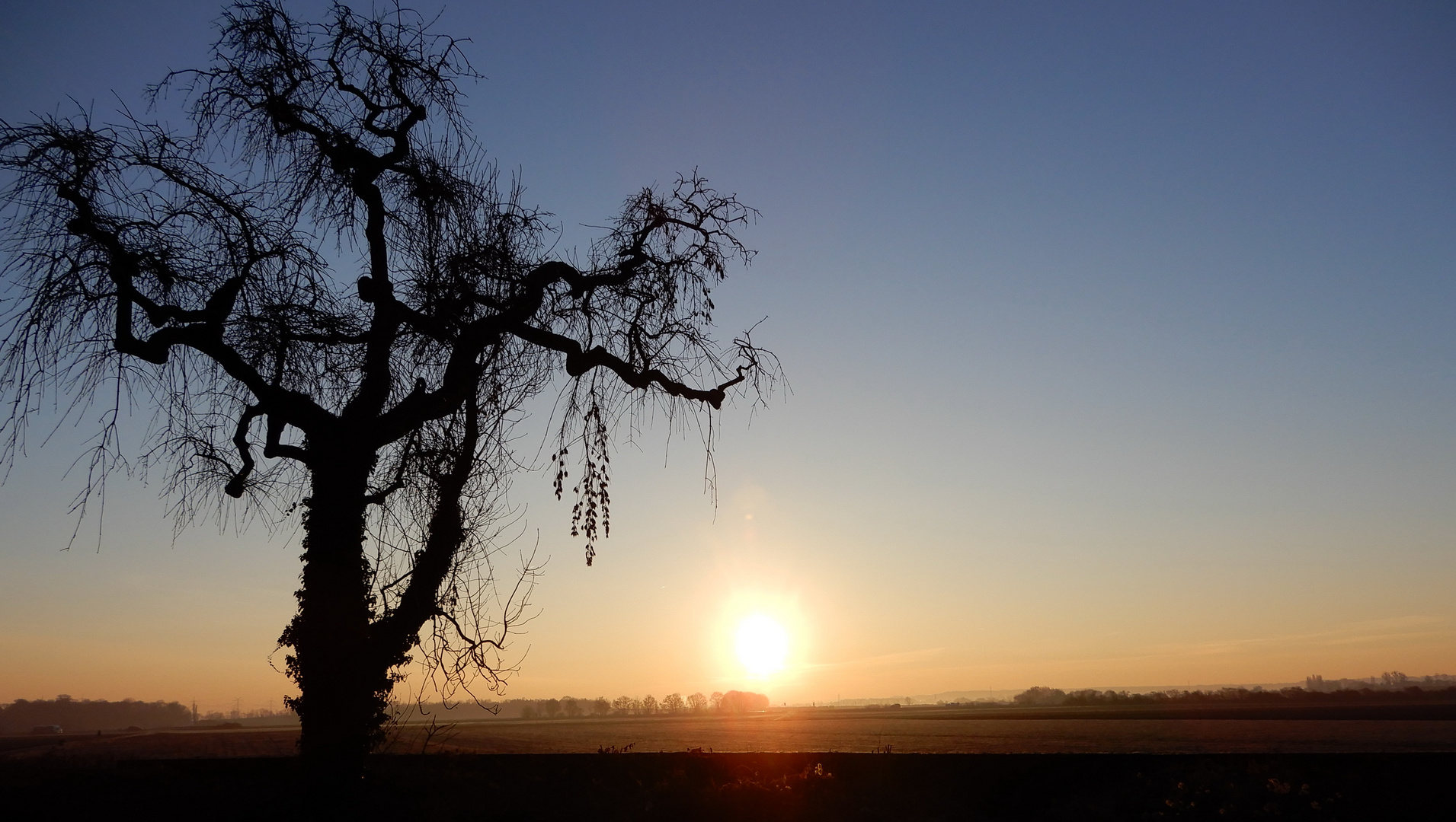 Sonnenaufgang am Schlosspark