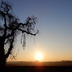 Sonnenaufgang am Schlosspark