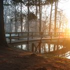 Sonnenaufgang am Schlossteich.