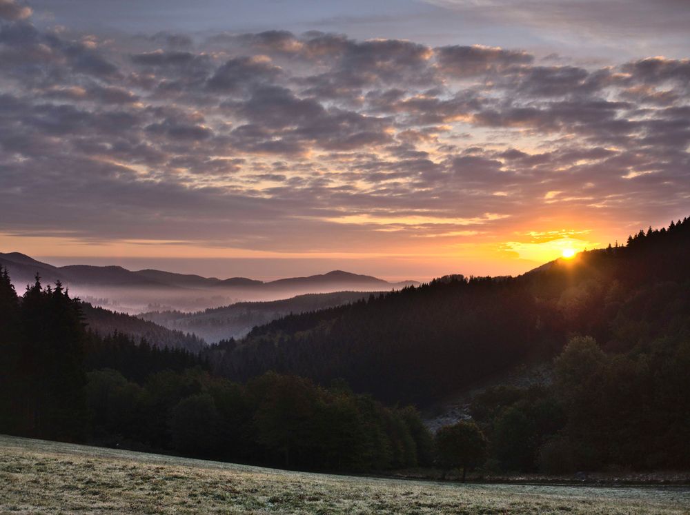 Sonnenaufgang am Schmantelrundweg in Winterberg