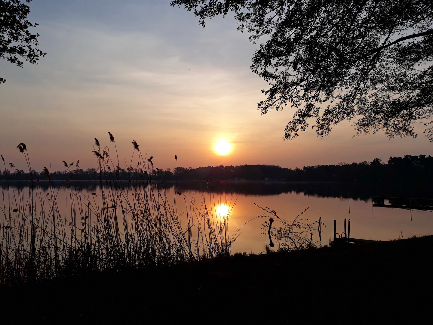 Sonnenaufgang am Schwielochsee