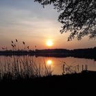 Sonnenaufgang am Schwielochsee