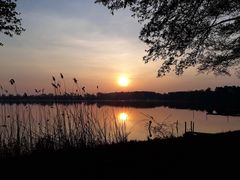 Sonnenaufgang am Schwielochsee