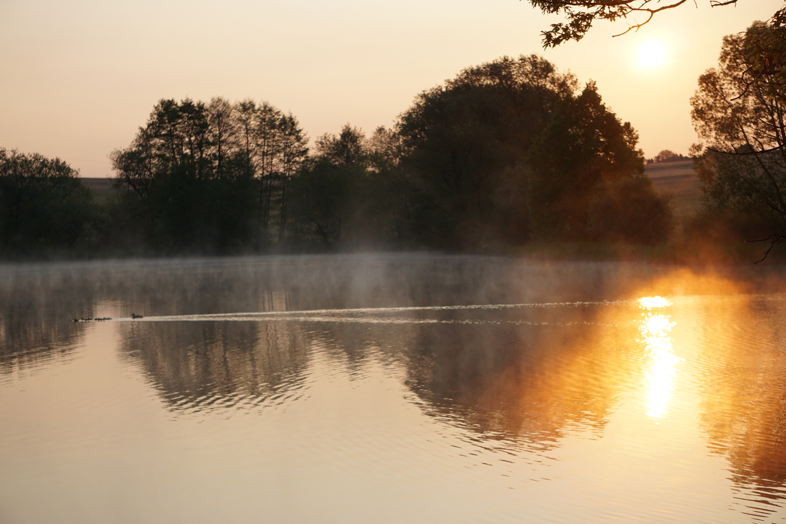 Sonnenaufgang am See 01