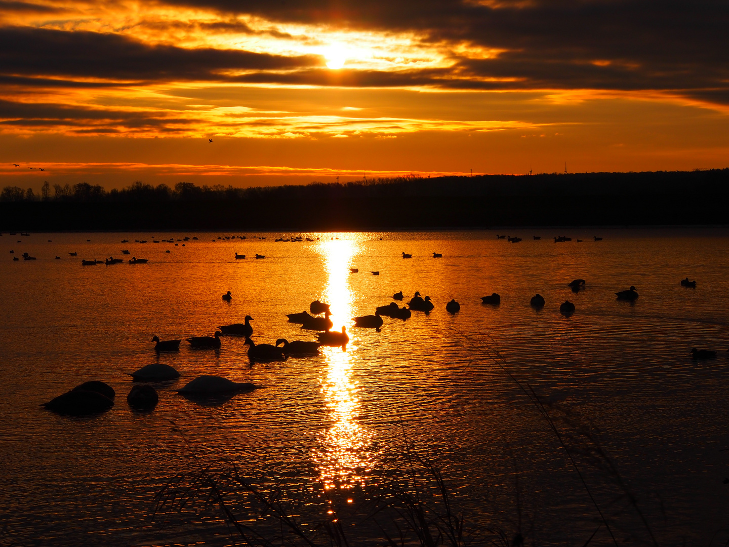 Sonnenaufgang am See