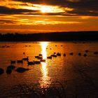 Sonnenaufgang am See