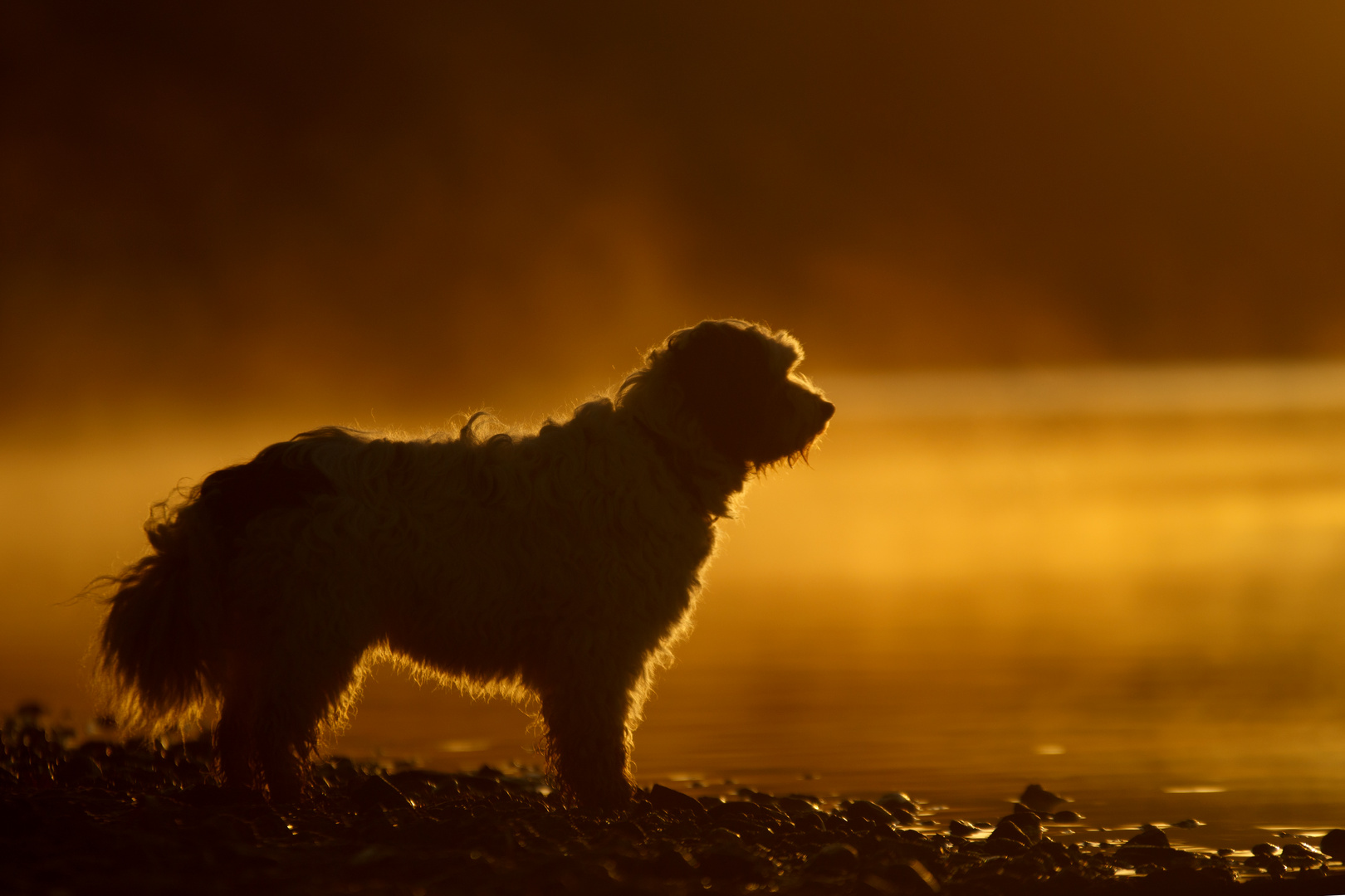 Sonnenaufgang am See