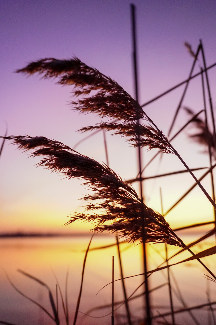 Sonnenaufgang am See