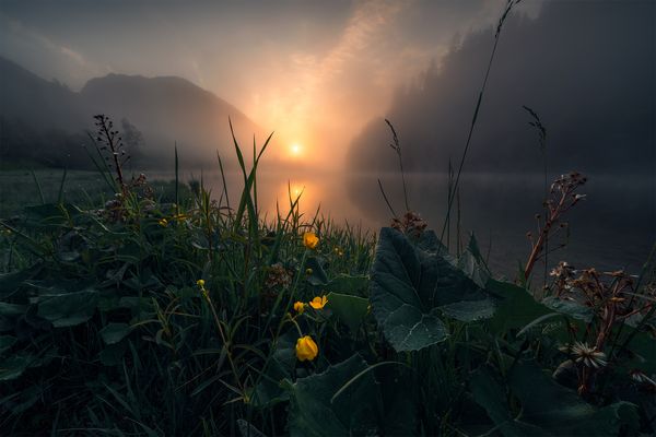 Sonnenaufgang am See