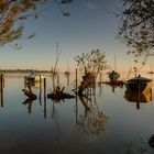 Sonnenaufgang am See