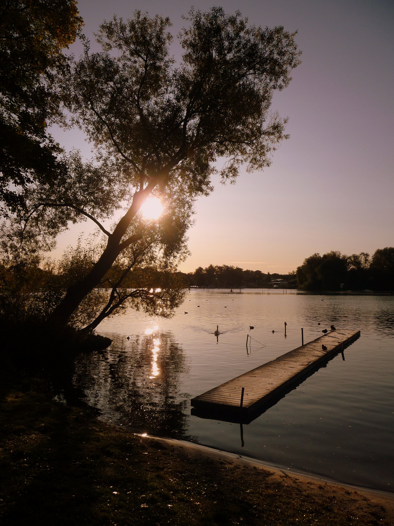 Sonnenaufgang am See