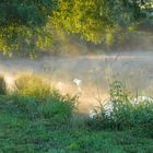 Sonnenaufgang am See II