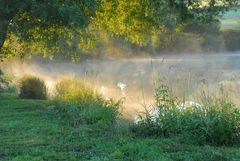 Sonnenaufgang am See II