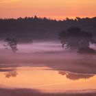 Sonnenaufgang am See in der Heide