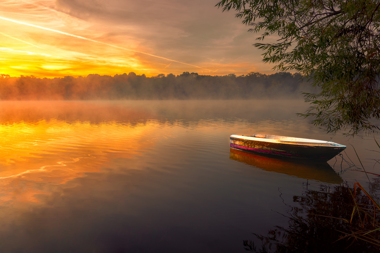 Sonnenaufgang am See (Max Eyth See)