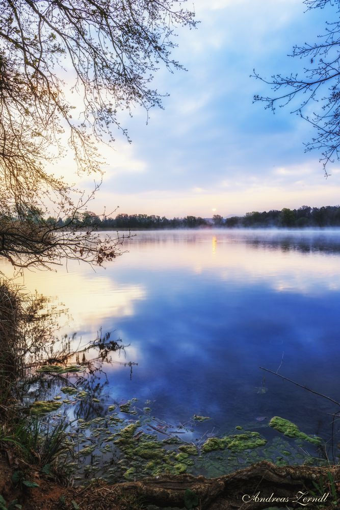 Sonnenaufgang am Seehof Stockweiher